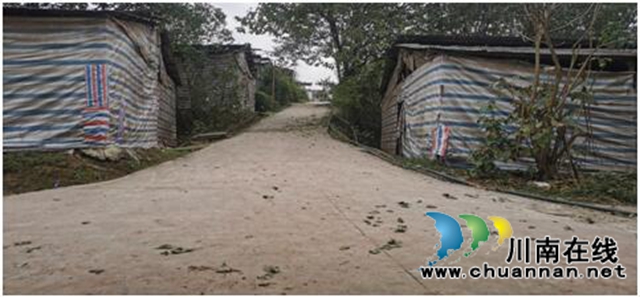 严守生态红线 泸县百和镇拧紧临河畜禽养殖污染防治弦(图2)