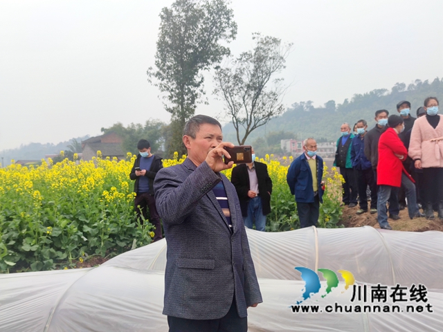 “东翼”泸县粮油种植核心区酿酒高粱育秧现场会在百和镇召开(图1)