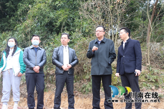 葛洪亮到泸县百和镇督导大陆溪流域生态环境保护工作(图4)