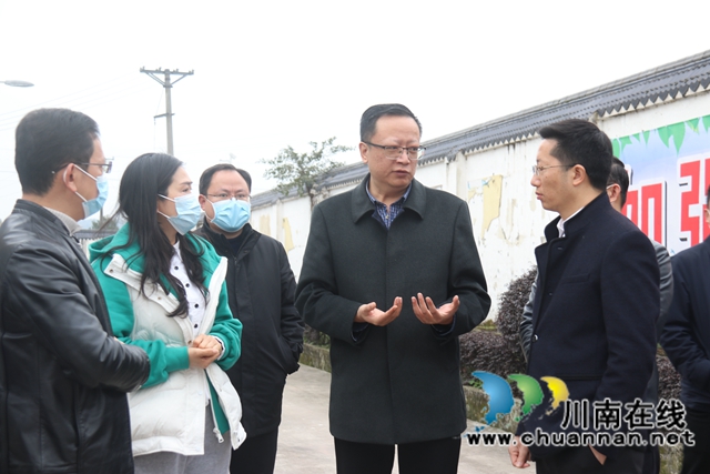 葛洪亮到泸县百和镇督导大陆溪流域生态环境保护工作(图3)