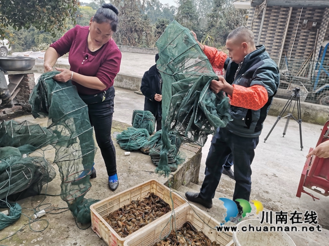 泸县方洞镇贾定海:从贫困户到虾大王(图6) 泸县方洞镇贾定海:从贫困户到虾大王(图6)