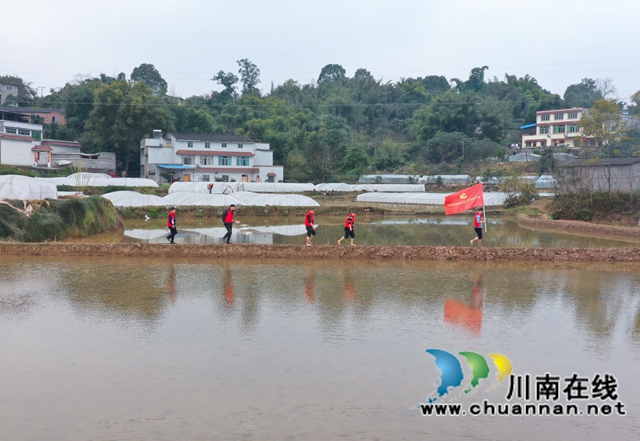 纳溪：“红马甲”进田间助力春耕春种(图3)