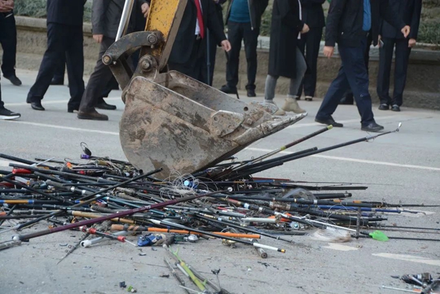 世界野生动植物日 江阳法院邀您共护美丽家园(图7)