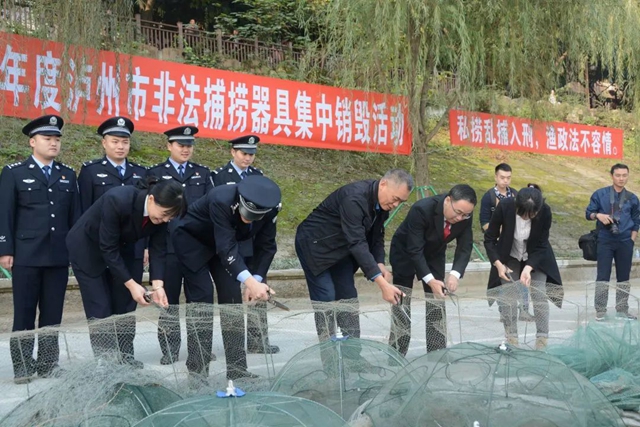 世界野生动植物日 江阳法院邀您共护美丽家园