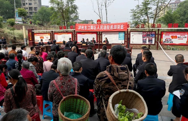 世界野生动植物日 江阳法院邀您共护美丽家园(图8)