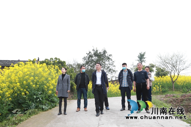泸县云龙镇主要领导带队调研农业特色产业发展工作(图2)