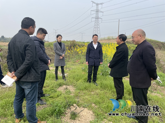 泸县云龙镇主要领导带队调研农业特色产业发展工作(图1)
