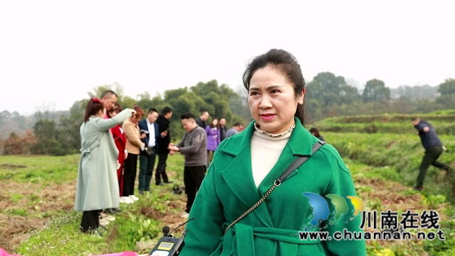 合江：免耕土豆丰收，快来体验采收乐趣！(图10)
