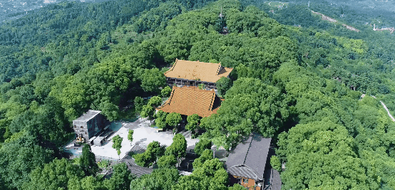 微信图片_20220306114149.gif