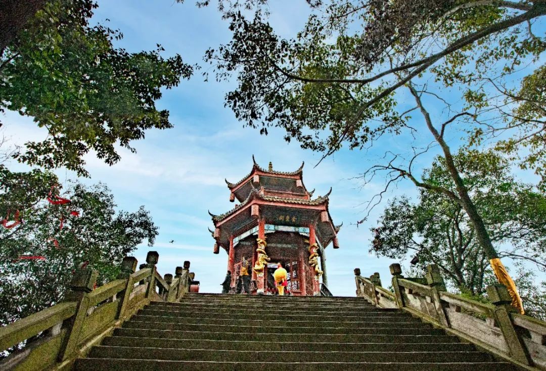 收藏！泸县踏青赏花地图出炉，赶紧约起！(图9)
