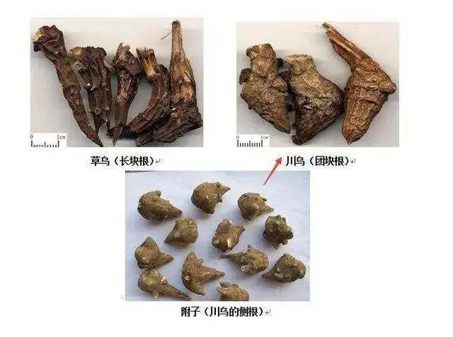 泸州大姐误服毒药,全身僵硬麻木……(图5) 泸州大姐误服毒药,全身僵硬麻木……(图5)