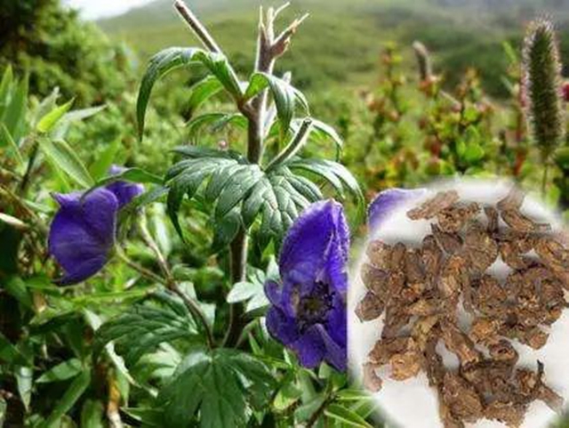 泸州大姐误服毒药,全身僵硬麻木……(图6) 泸州大姐误服毒药,全身僵硬麻木……(图6)