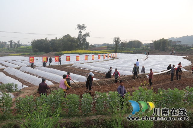 曹阳率队到泸县百和镇调研春耕生产、“东翼”建设工作(图2)