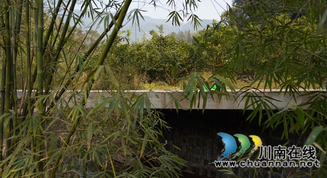 守护民心｜合江县：“访”出来的“民心桥”(图1)