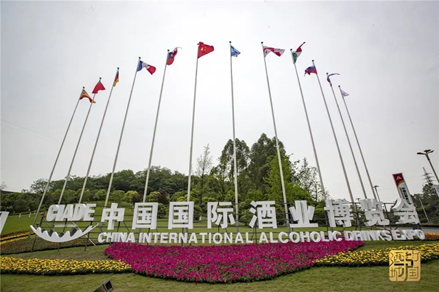 我在酒城等你丨泸州新版城市形象宣传片亮相央视(图14)