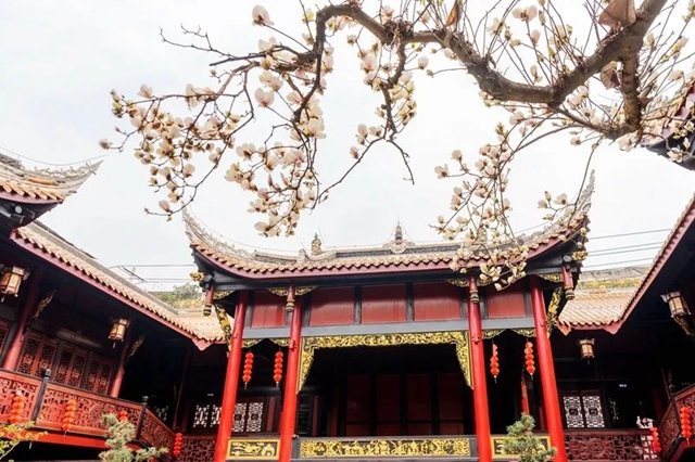 春至叙永花弄色，请查收这份春日赏花攻略！(图4)