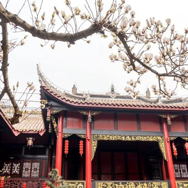 春至叙永花弄色，请查收这份春日赏花攻略！(图8)