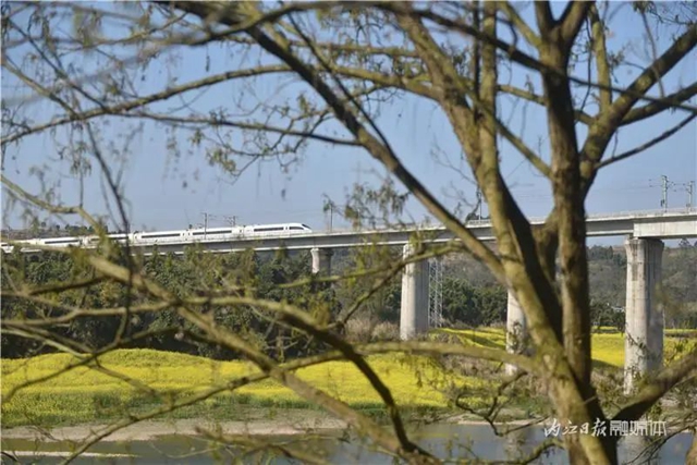 告内江市民：乘上这路列车，你就能进入一个梦幻境界(图5)