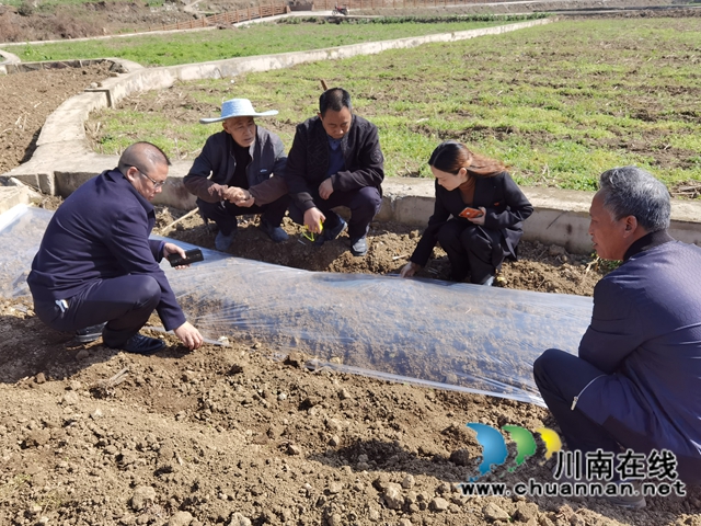 古蔺县双沙镇：草长莺飞季，春耕正当时(图2)