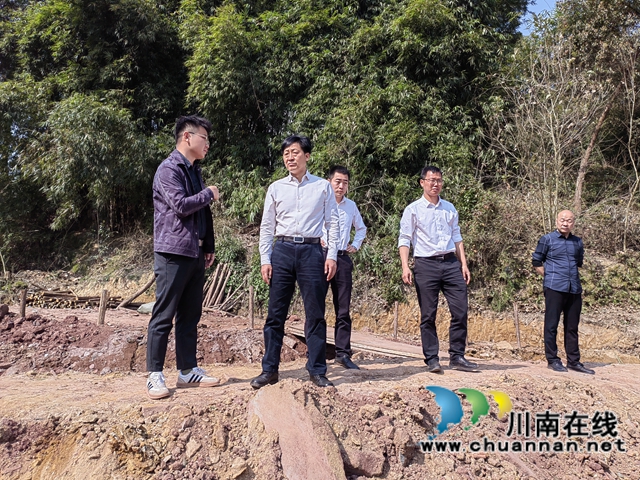 朱大清率队到泸县百和镇督导大陆溪水质达标工作(图3)