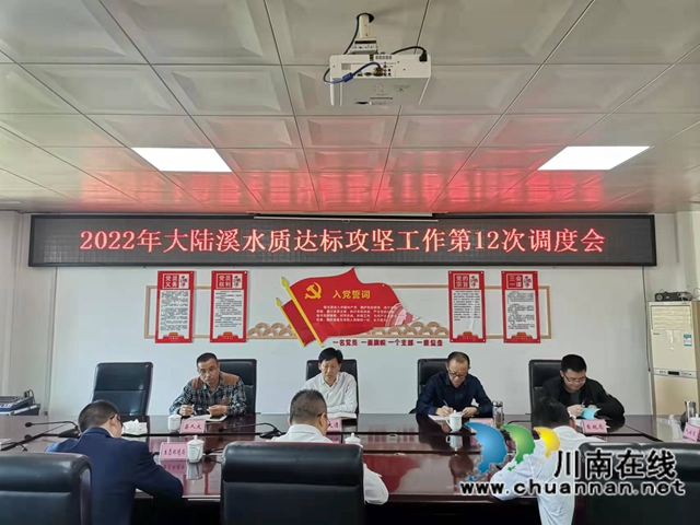 朱大清率队到泸县百和镇督导大陆溪水质达标工作(图2)