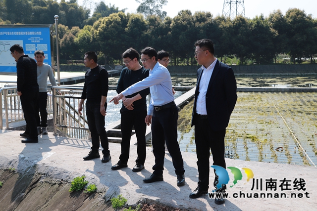 章磊到泸县云龙镇督导河道治理工作(图1)