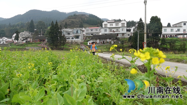 古蔺县大寨苗族乡：古法制作软萩粑，其乐融融迎春天(图5)