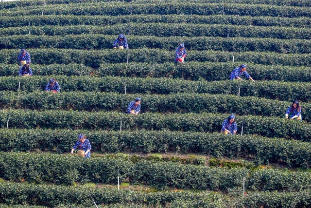 泸州这些镇上榜,将在资金、用地保障方面给予重点支持(图1) 泸州这些镇上榜,将在资金、用地保障方面给予重点支持(图1)