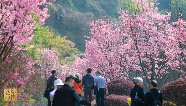 直冲30℃！五彩斑斓的泸州，爱了！(图3)