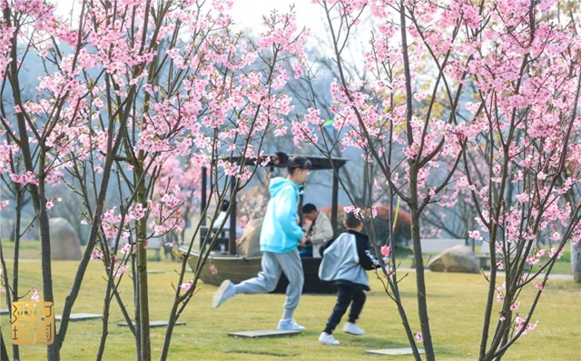 直冲30℃！五彩斑斓的泸州，爱了！(图4)