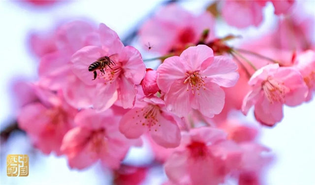 直冲30℃！五彩斑斓的泸州，爱了！(图6)