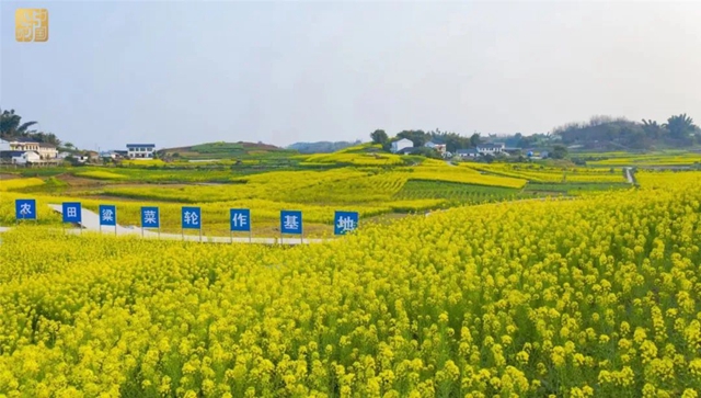 直冲30℃！五彩斑斓的泸州，爱了！(图9)