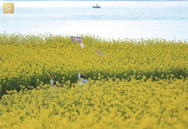 直冲30℃！五彩斑斓的泸州，爱了！(图8)