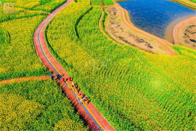 直冲30℃！五彩斑斓的泸州，爱了！(图7)