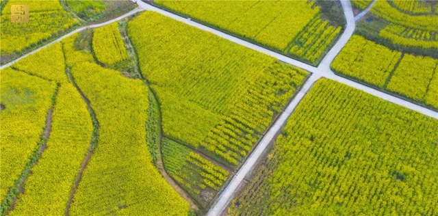 直冲30℃！五彩斑斓的泸州，爱了！(图10)