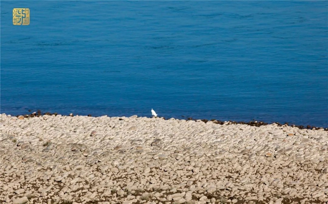 直冲30℃！五彩斑斓的泸州，爱了！(图11)