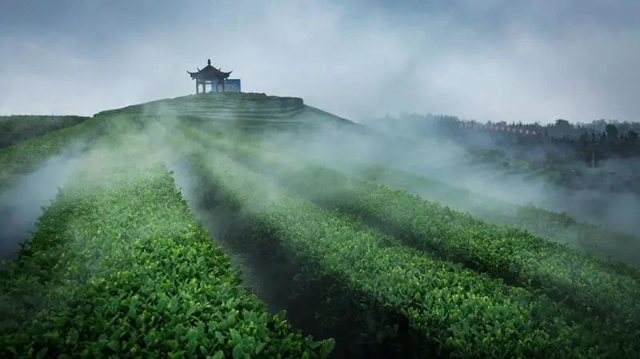 直冲30℃！五彩斑斓的泸州，爱了！(图17)