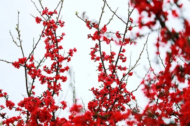 直冲30℃！五彩斑斓的泸州，爱了！(图21)