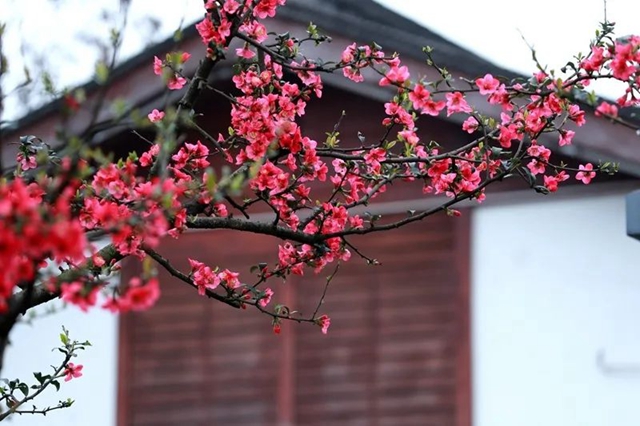 直冲30℃！五彩斑斓的泸州，爱了！(图20)