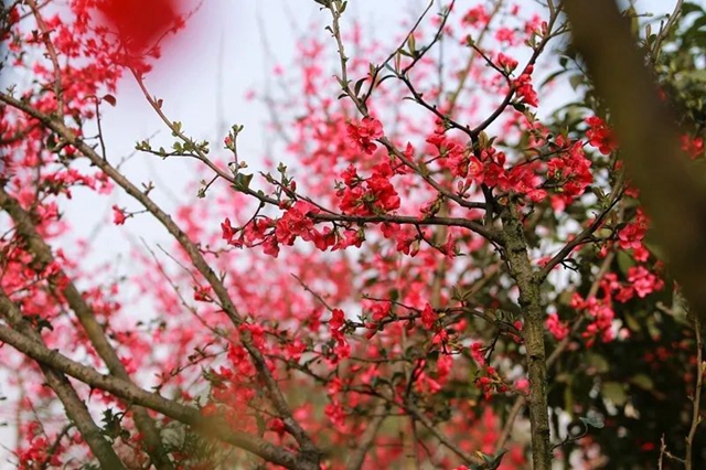 直冲30℃！五彩斑斓的泸州，爱了！(图19)