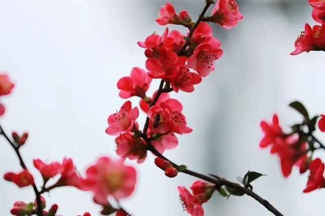 直冲30℃！五彩斑斓的泸州，爱了！(图24)