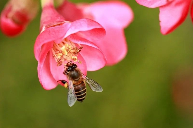 直冲30℃！五彩斑斓的泸州，爱了！(图23)