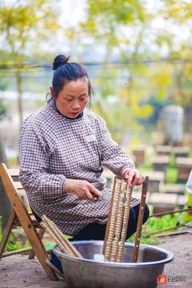 最近,“甜蜜蜜”的自贡引来不少特殊的客人!(图5) 最近,“甜蜜蜜”的自贡引来不少特殊的客人!(图5)