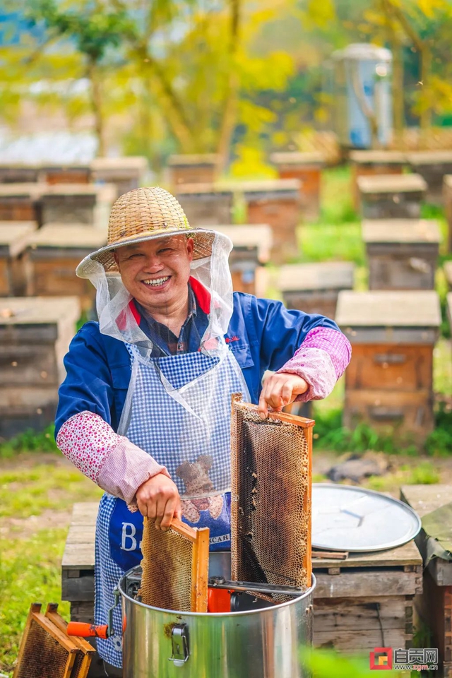 最近,“甜蜜蜜”的自贡引来不少特殊的客人!(图4) 最近,“甜蜜蜜”的自贡引来不少特殊的客人!(图4)