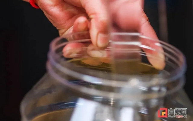 最近,“甜蜜蜜”的自贡引来不少特殊的客人!(图8) 最近,“甜蜜蜜”的自贡引来不少特殊的客人!(图8)