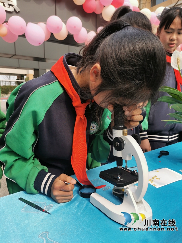 泸县城东小学：把春天搬进校园(图2)