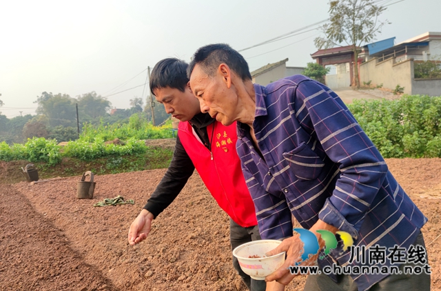 泸县海潮镇：高粱地里备耕忙，“田管家”巡田保丰收(图6)