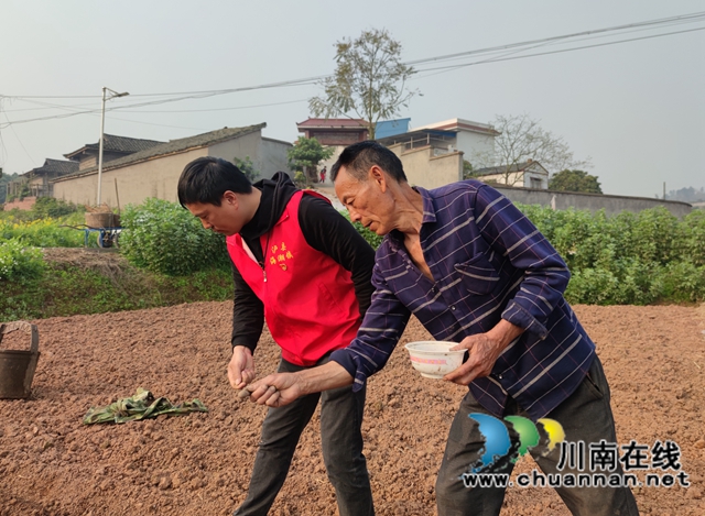 泸县海潮镇：高粱地里备耕忙，“田管家”巡田保丰收(图5)
