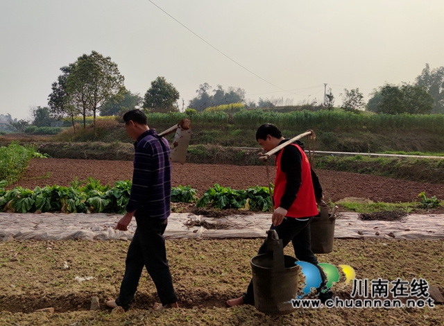 泸县海潮镇：高粱地里备耕忙，“田管家”巡田保丰收(图7)