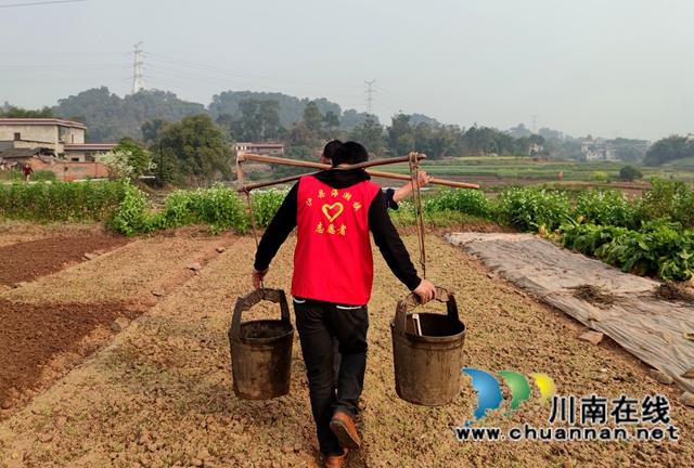 泸县海潮镇：高粱地里备耕忙，“田管家”巡田保丰收(图8)